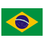 Brazilian Flag icon